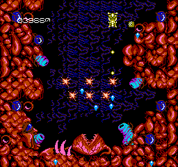 60621-abadox-the-deadly-inner-war-nes-screenshot-another-biological.png