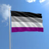 asexual-flag_flying_800-100x100.jpg