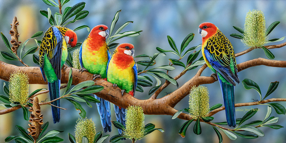 Banksia_Friends_-_Eastern_Rosella_Natalie_Jane_Parker_Australian_Native_Wildlife_be5fr7.jpg