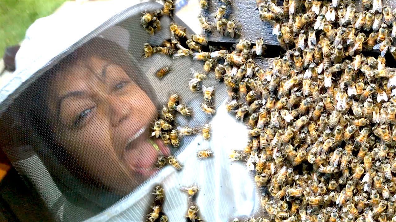 beekeeper.jpg