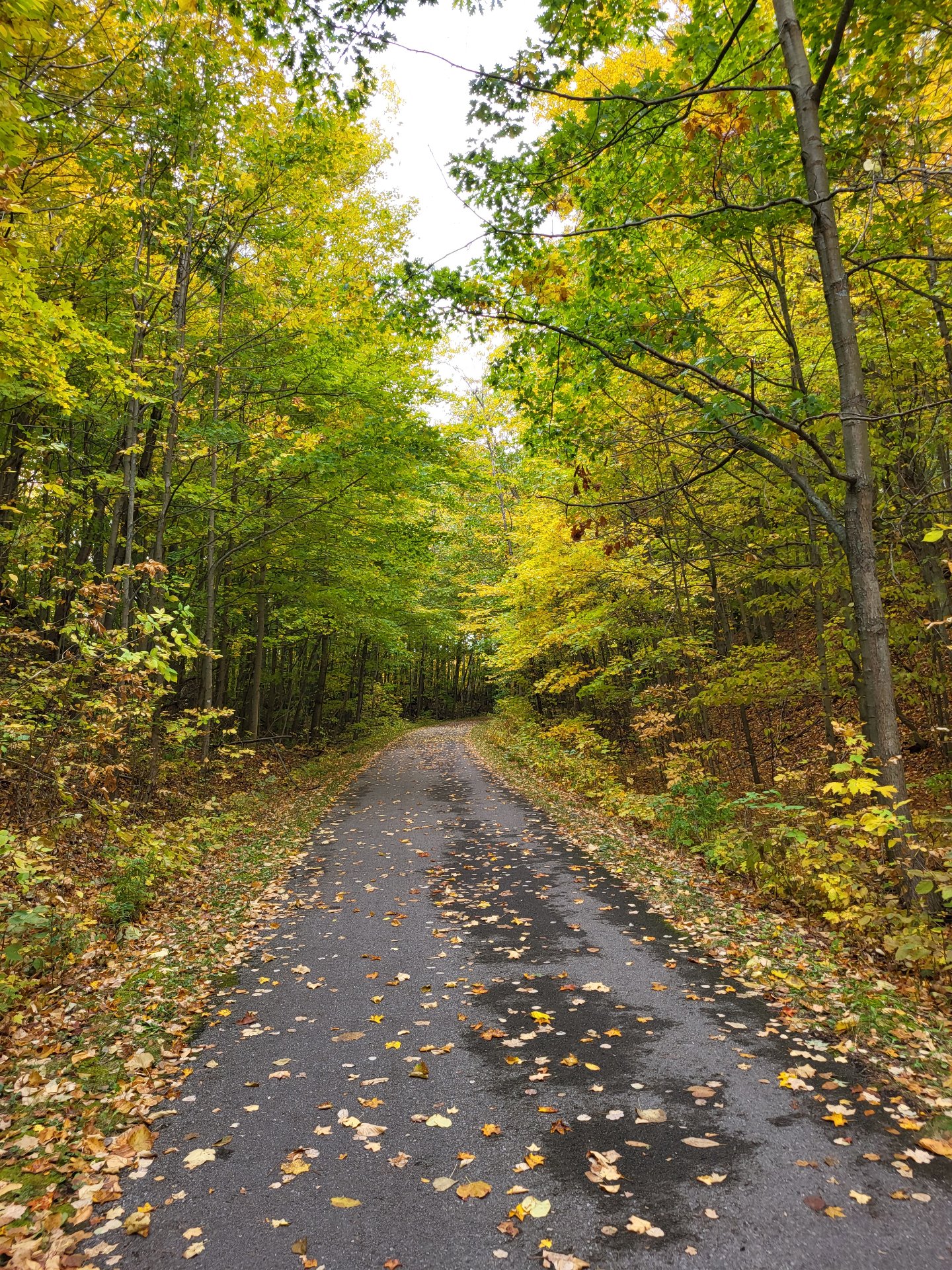 Betsie Valley Trail Fal.jpg