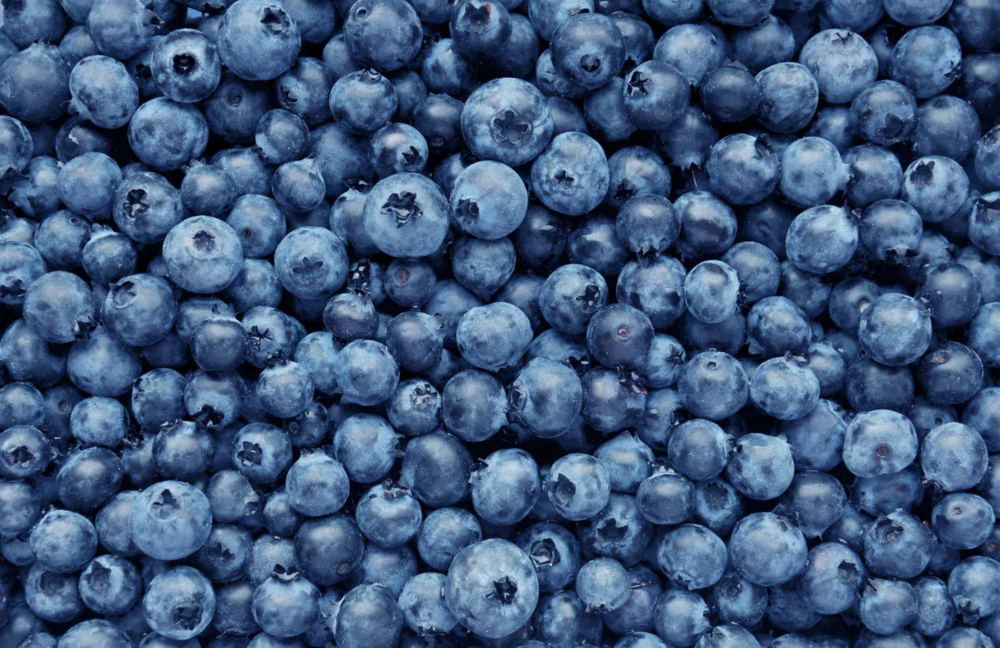 blueberries-iStock-533340696.jpg