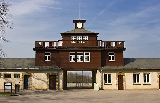 Buchenwald.webp