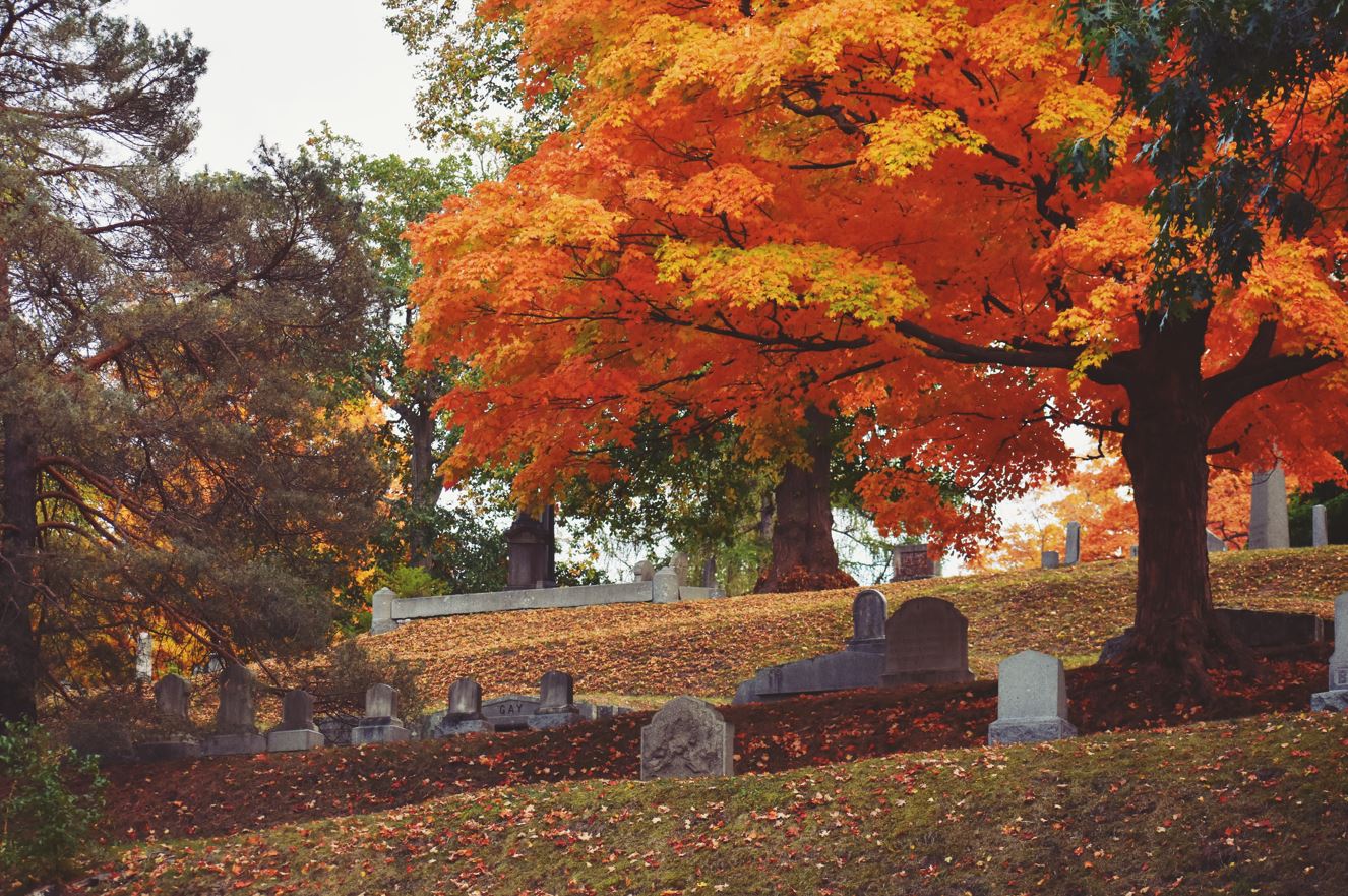 cemetery.JPG