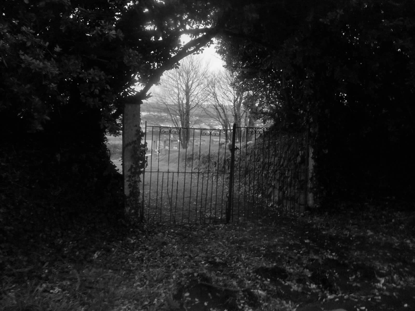 cemetery_gates_by_IjustAteMyShoe.webp