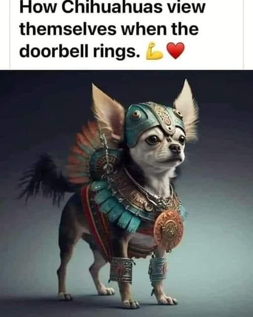 chihuahua aztec.jpg