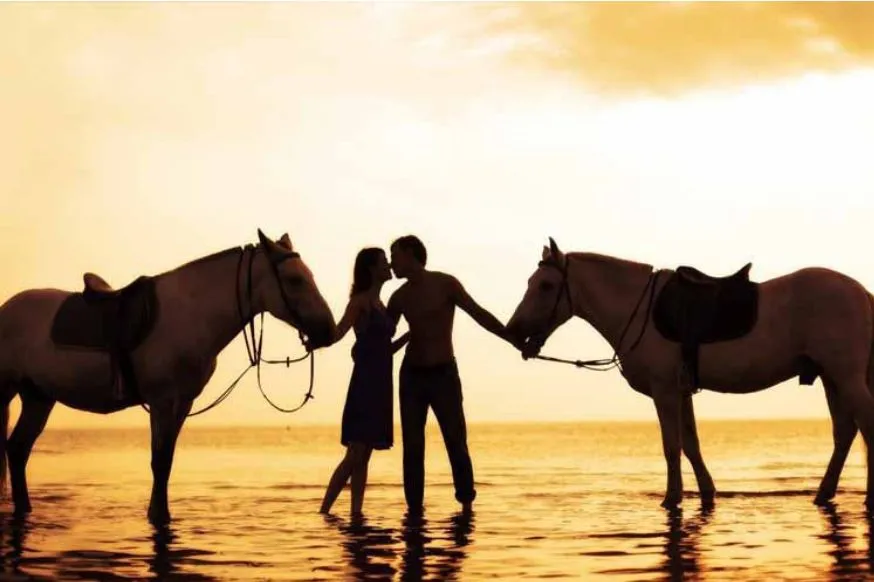 Couple horses Kiss.webp