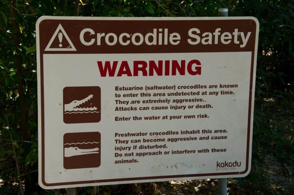 Crocodile-safety-1024x682.jpg