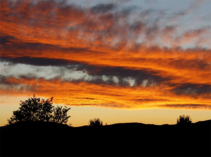 Desert Sunset.webp