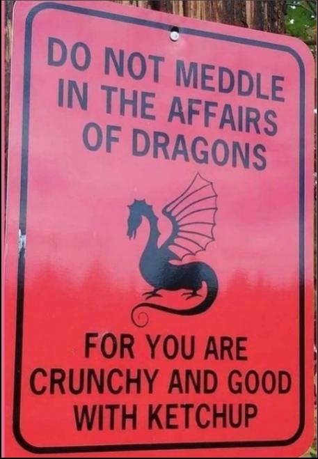 Do Not Meddle Dragons.jpg