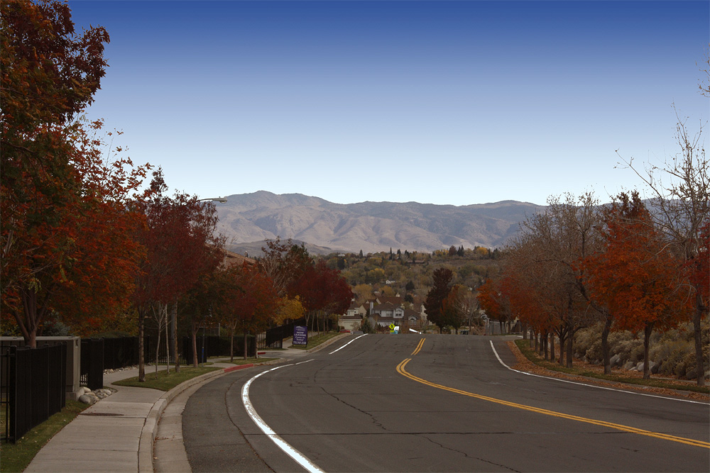 Fall in Reno.jpg