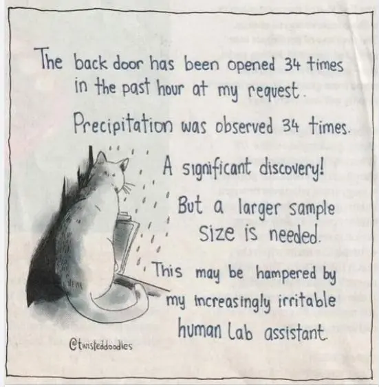 Feline Science.webp