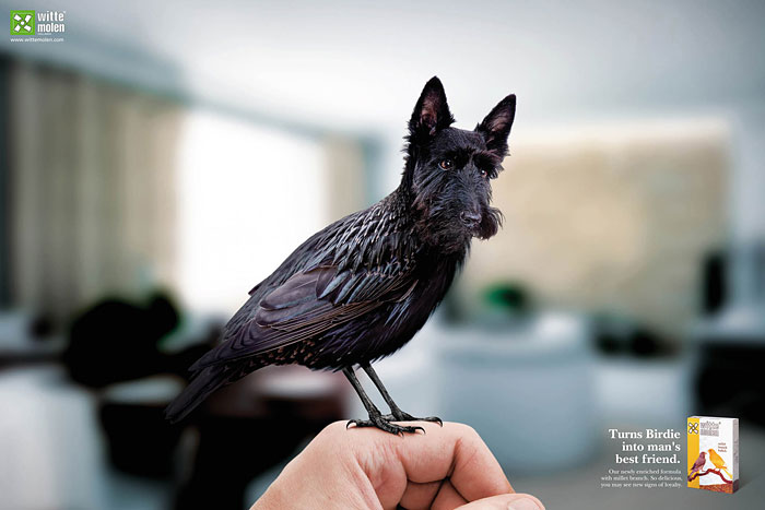 funny-ads-with-animals-74.jpg