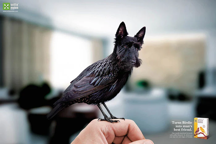 funny-ads-with-animals-74.webp