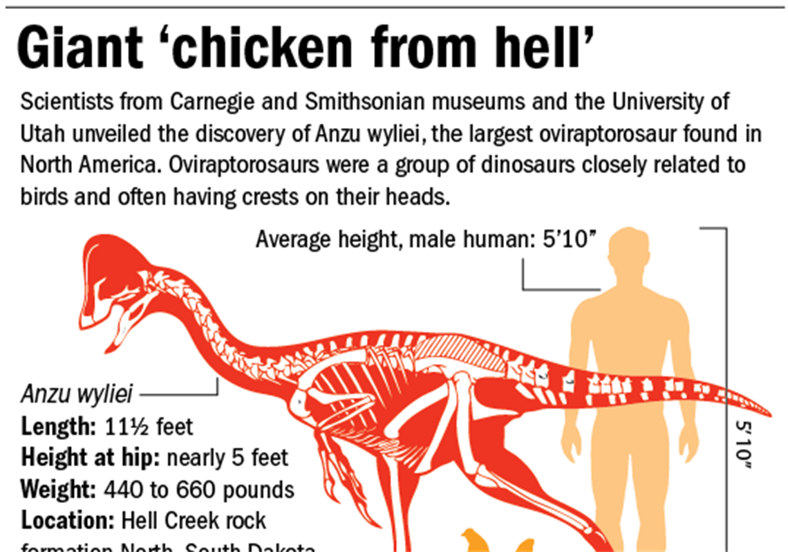 Giant-Chicken-From-hell.png