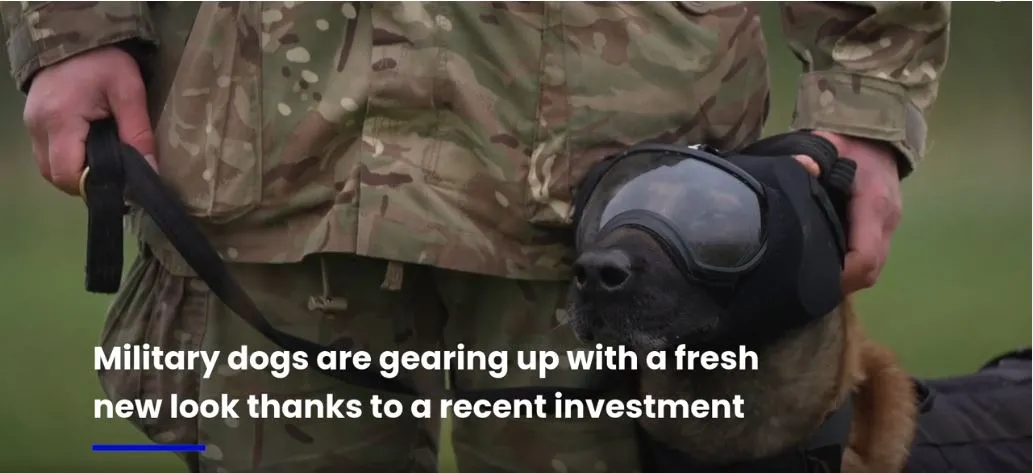 Goggles on military dogs.webp