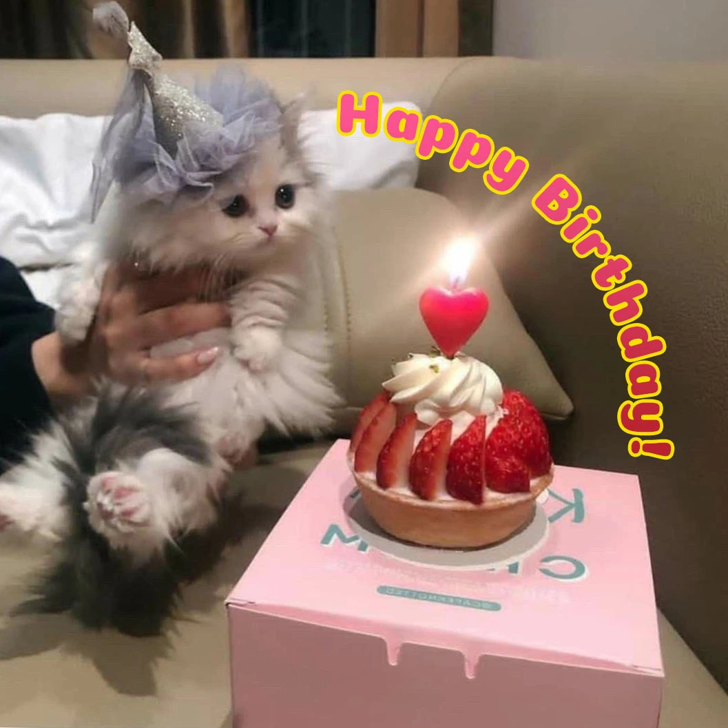 happy-birthday-cat-greeting-card-18-1363391346.webp