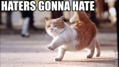 hatersgonnacat.webp