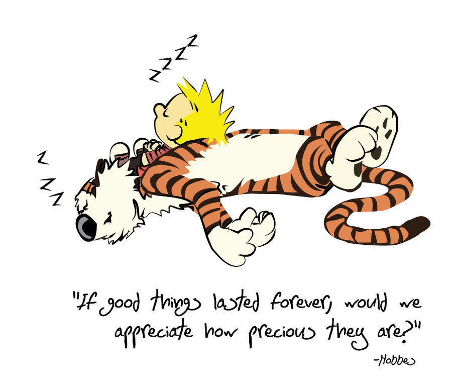 hobbes_quote_by_lizink-d54o8y7.jpg