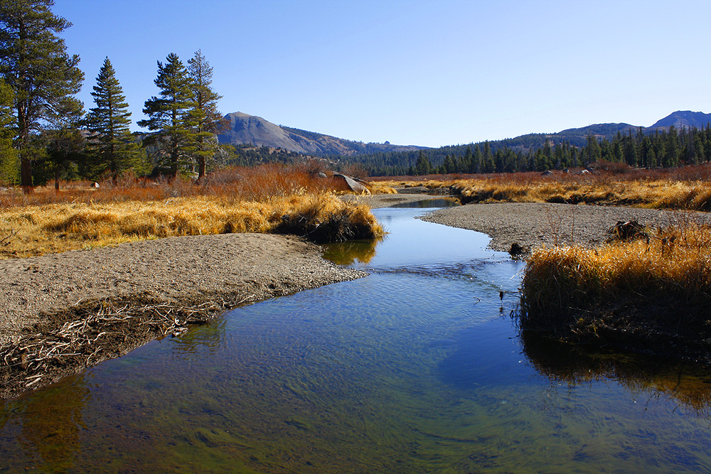 Hope Valley, CA.jpg