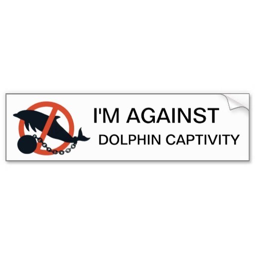 im_against_dolphin_captivity_bumper_sticker-r7d495788fdd146a99c75397cb2357b63_v9wht_8byvr_512.jpg