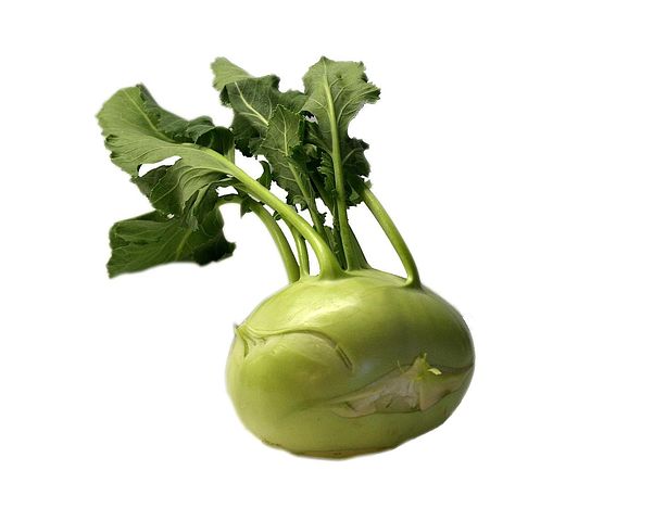 kohlrabi-74276__480.jpg