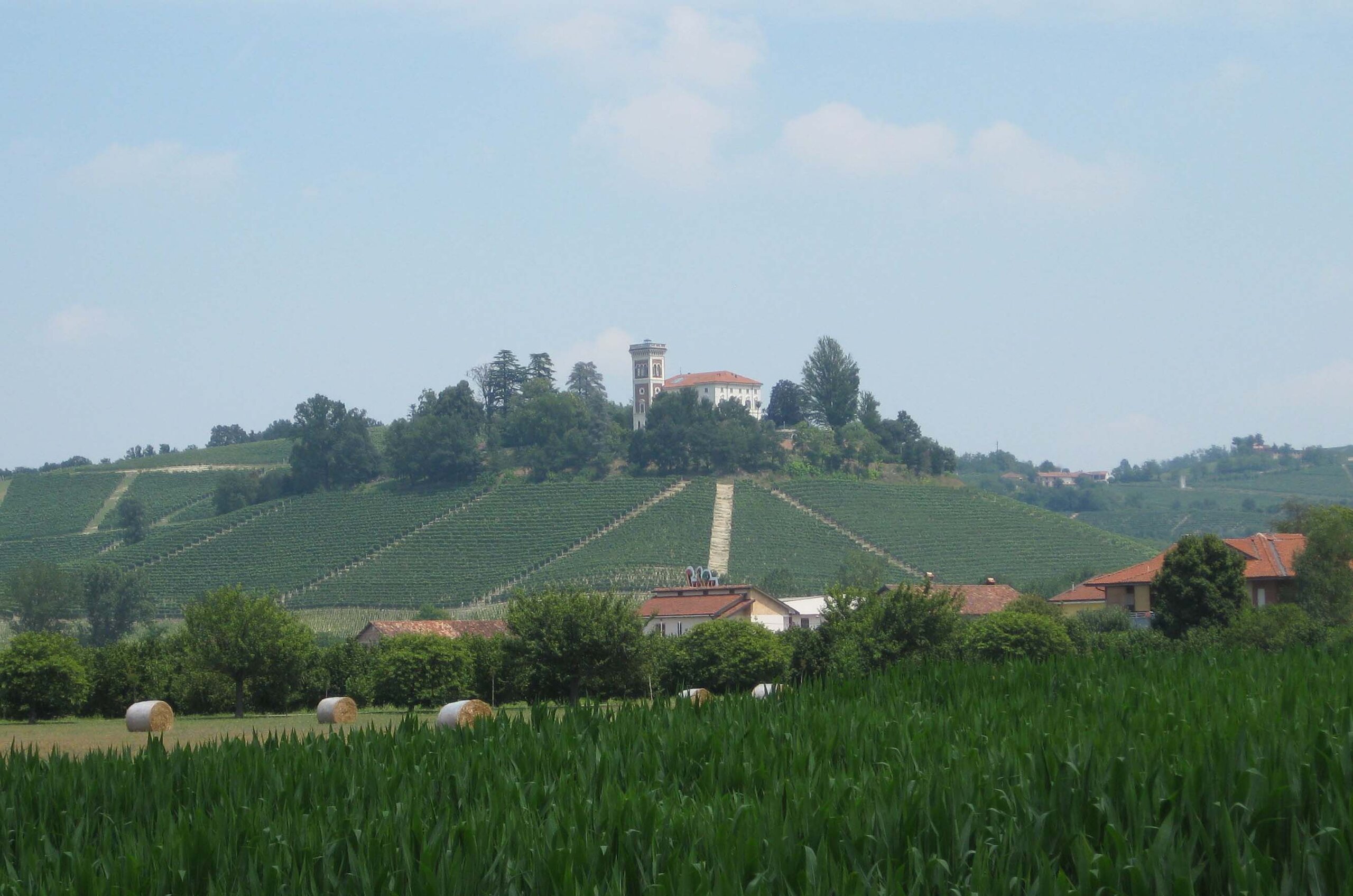 Langhe.jpeg