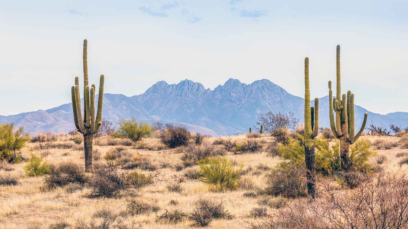 largest-desert-world.jpg