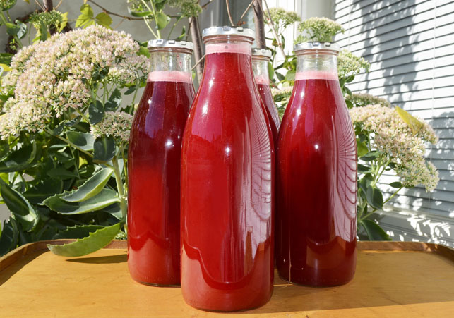 Lingonberry juice.jpg