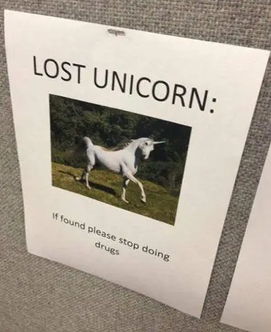 lost unicorn.webp