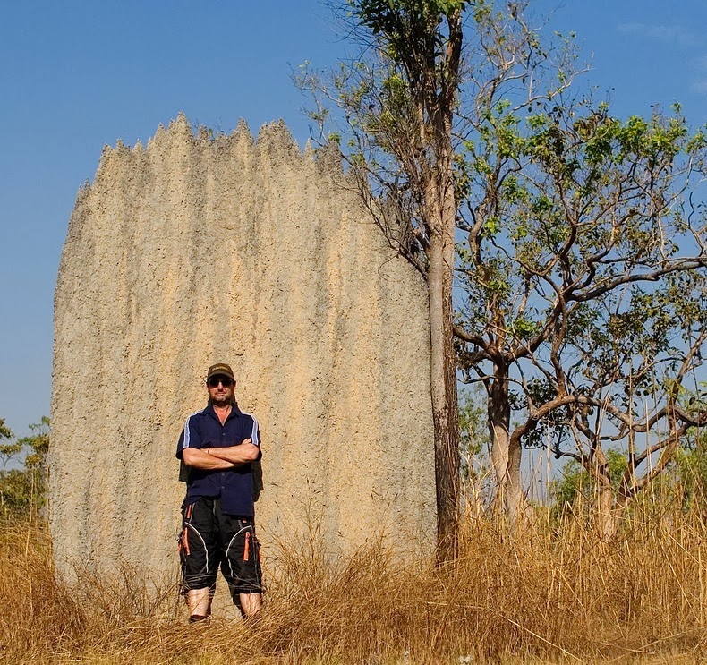 magnetic-termites-5[2].jpg