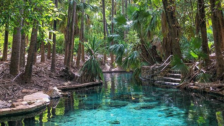 mataranka-hot-springs_northern-territory_australia.jpg