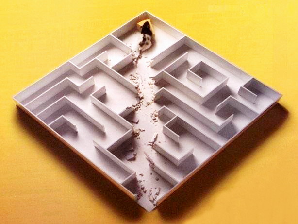 Maze-With-Smart-Mouse.jpg