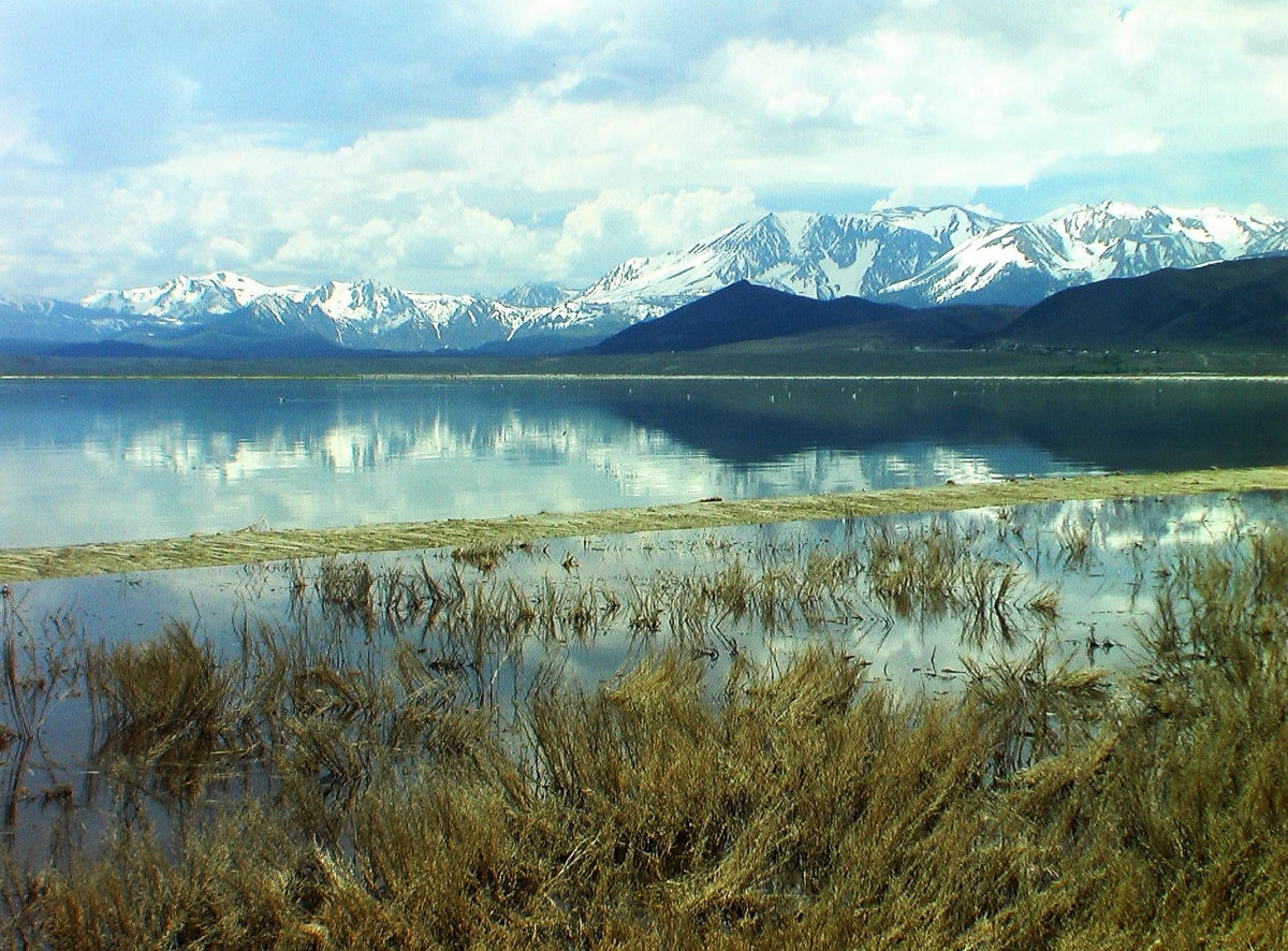 MonoLake north.webp