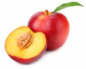 NECTARINE.webp