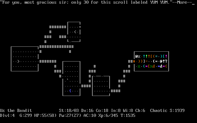 nethack_001.png