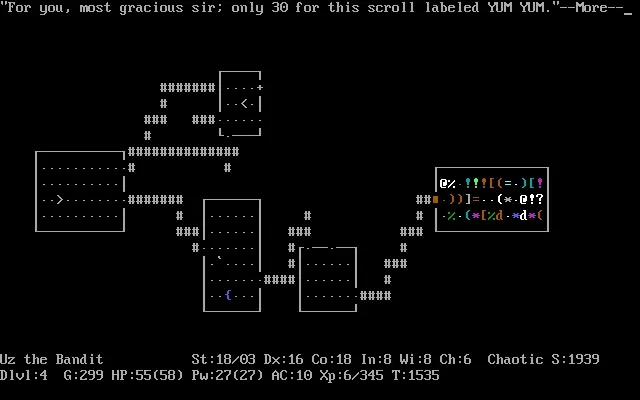 nethack_001.webp