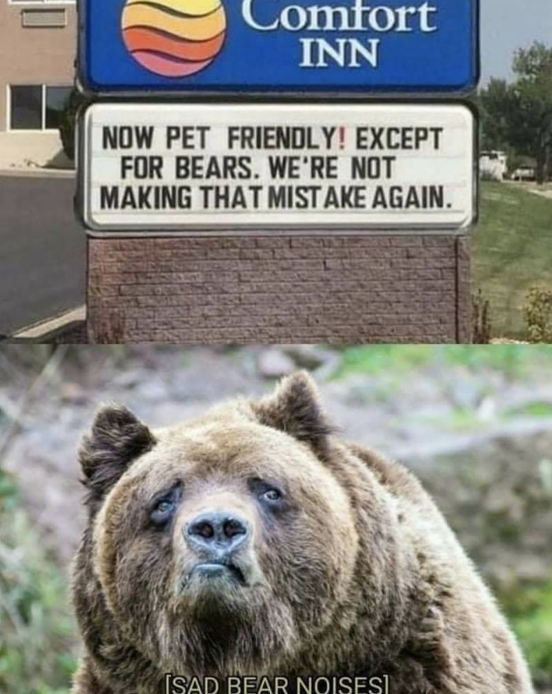 now-pet-friendly-except-for-bears-meme.jpeg