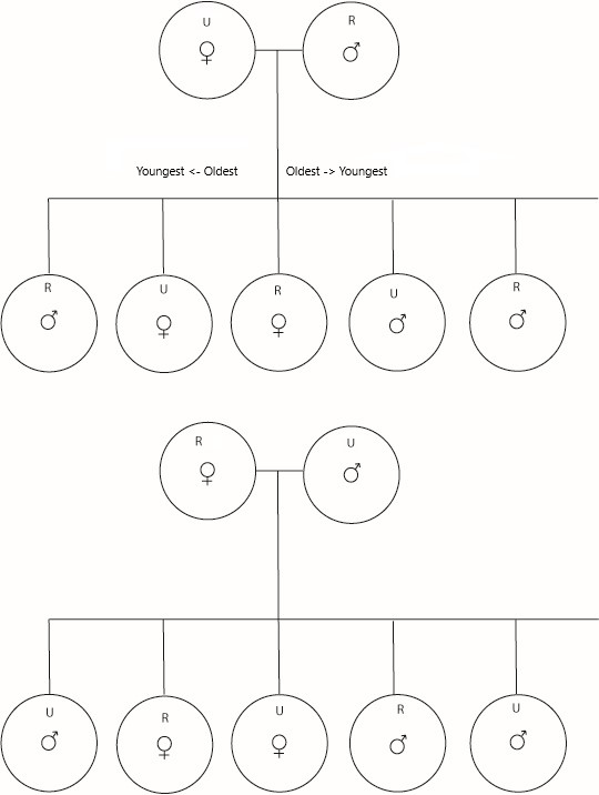 patternworksheet-jpg.64504