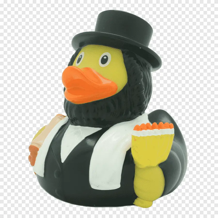 png-clipart-rubber-duck-judaism-rabbi-jewish-people-waterside-duck-animals-bird.webp