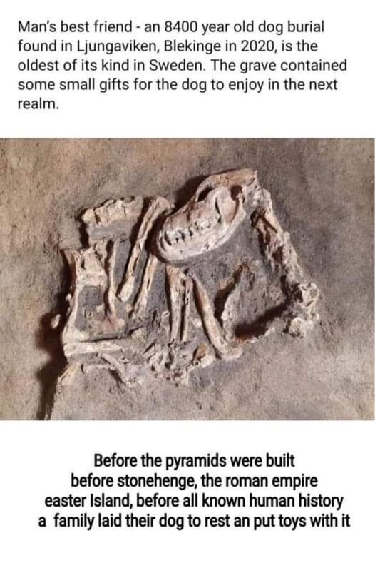 preHistoryDog.jpg