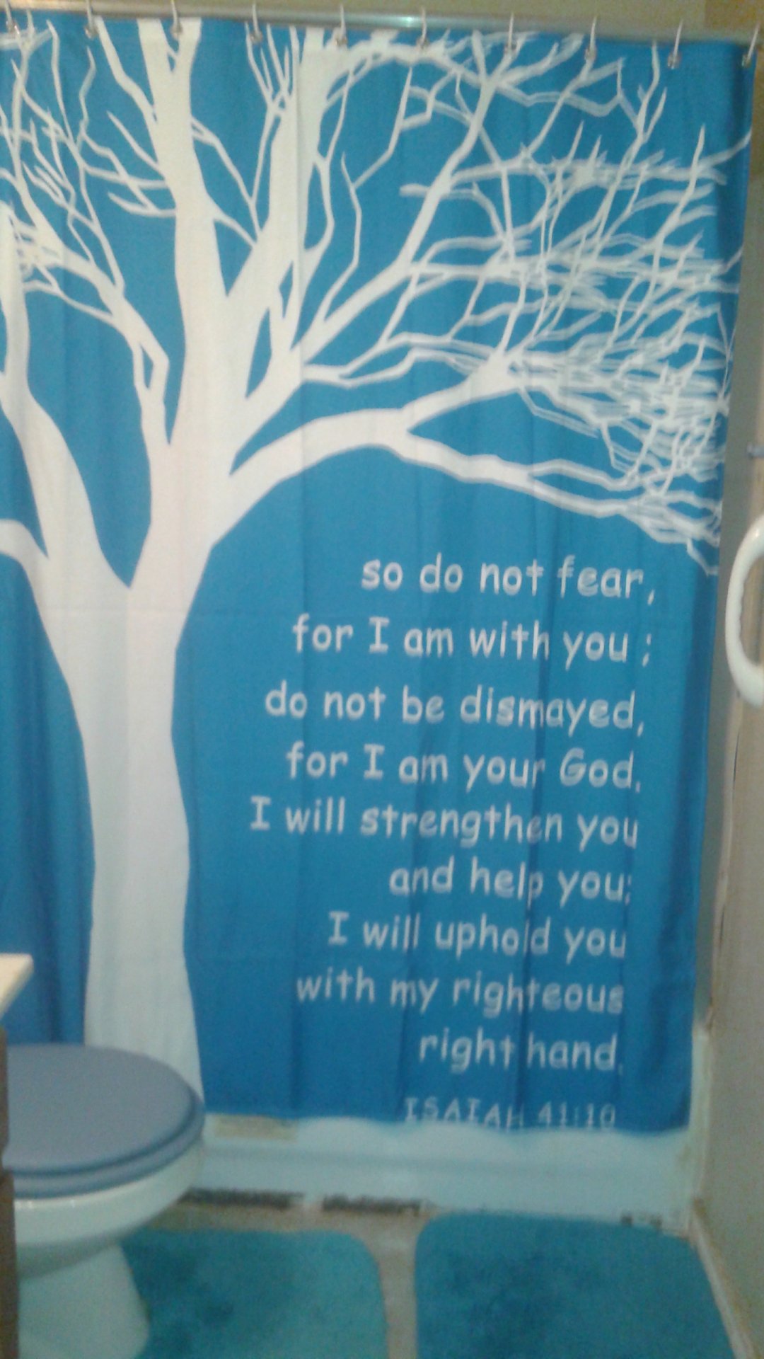 shower curtain.jpg