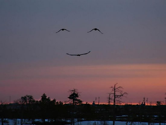 Sky Smile.jpg