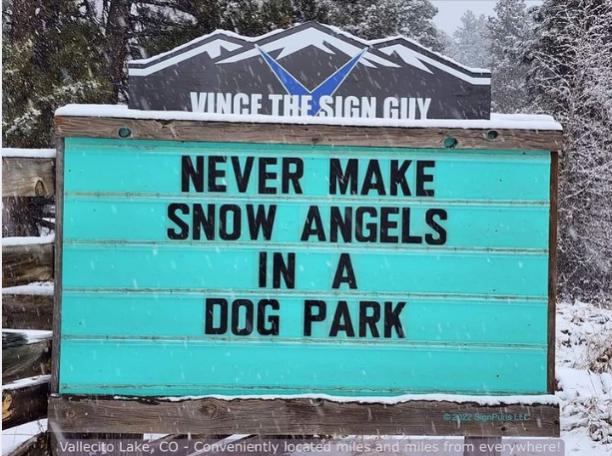 Snow Angels in Dog Park.jpg