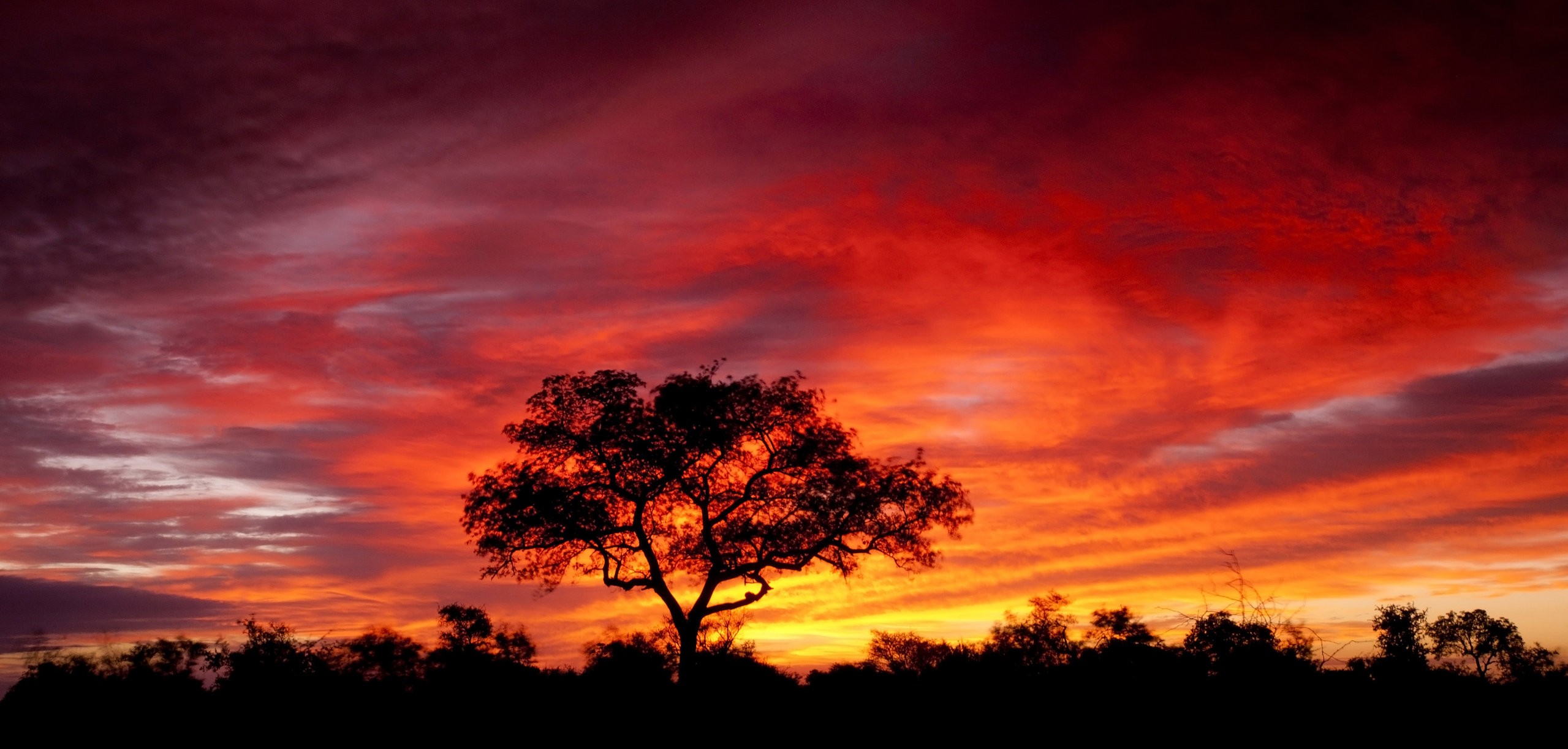 SOUTH-AFRICA-Large-Sunset.jpg