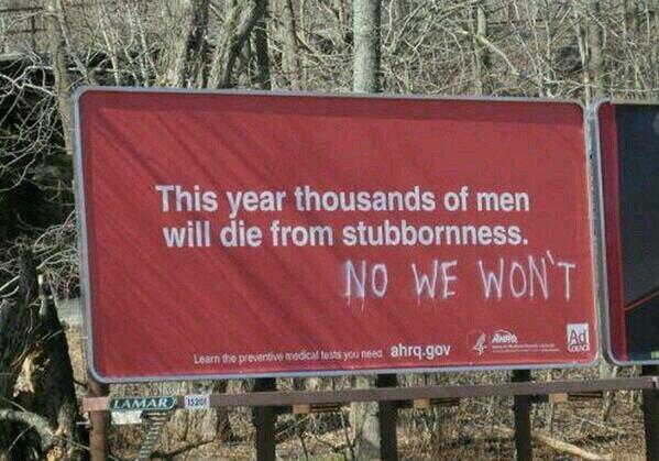 stubborn.jpg