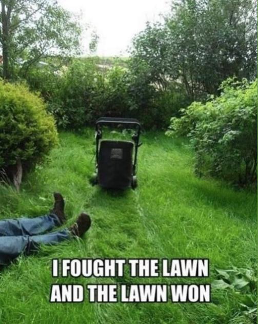 The Lawn Won.jpg