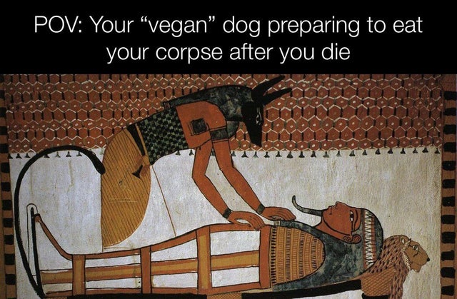 vegan corpse doggie.jpg