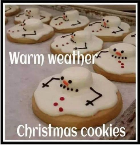 Warm Weather Christmas Cookies.jpg