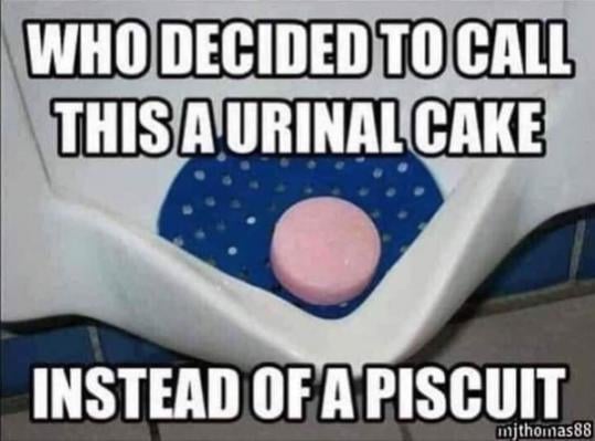 Why Cake And not a Piscuit_.jpg